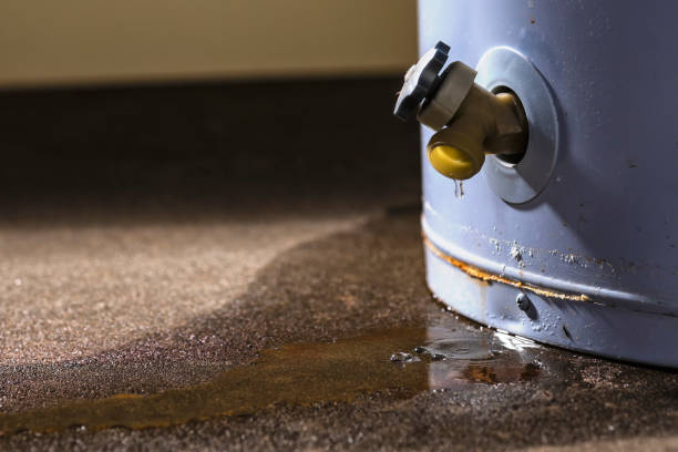 Best Water damage restoration near me  in Rockwood, MI