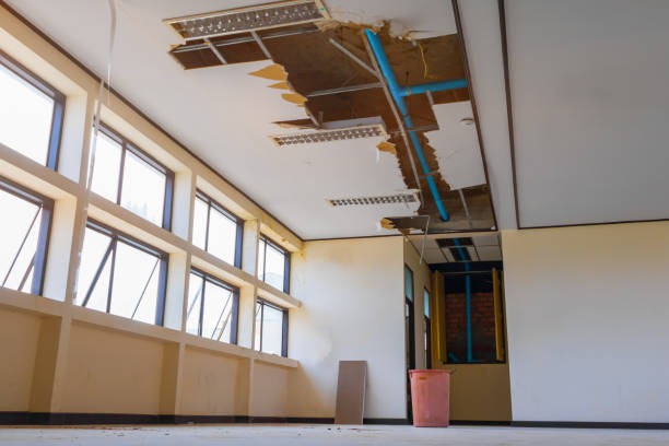 Best Water damage cleanup near me  in Rockwood, MI