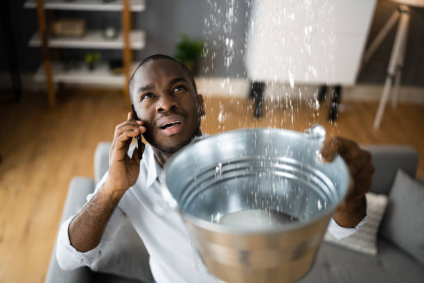 Best Flood damage cleanup  in Rockwood, MI