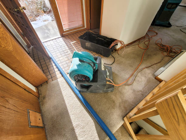 Best Water damage restoration experts  in Rockwood, MI