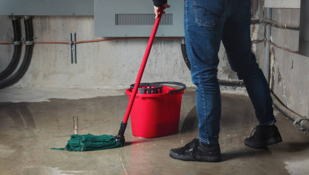 Best Professional water damage repair  in Rockwood, MI
