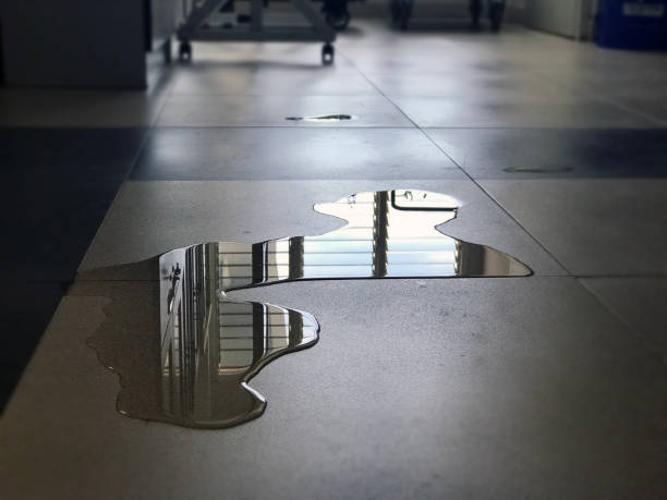 Professional Water damage restoration in Rockwood, MI