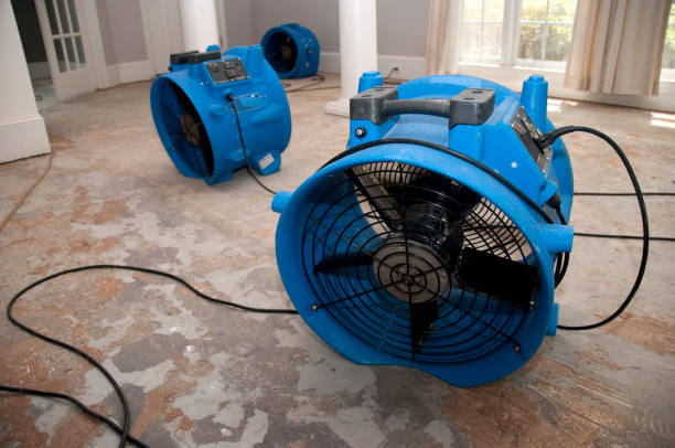 Best Emergency water damage restoration  in Rockwood, MI