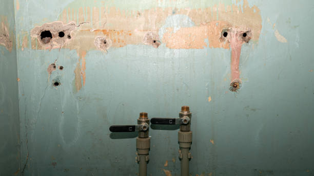 Best Fire Damage Restoration  in Rockwood, MI