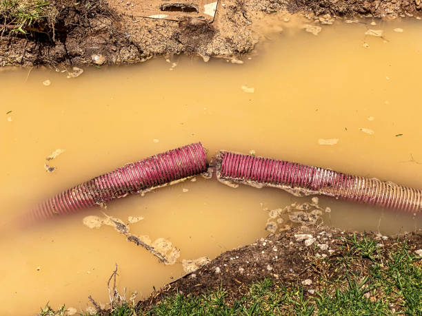 Best Flood restoration services  in Rockwood, MI
