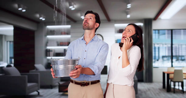 Best Sewage cleanup and water damage restoration  in Rockwood, MI