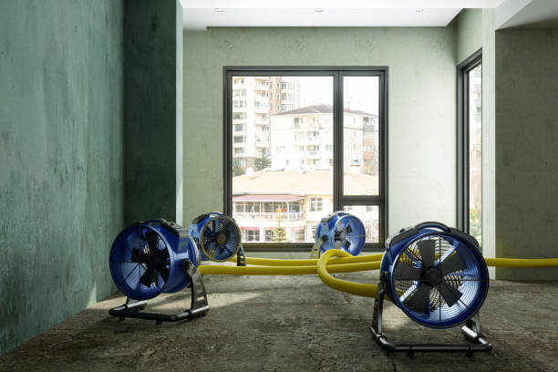 Best Ceiling water damage repair  in Rockwood, MI