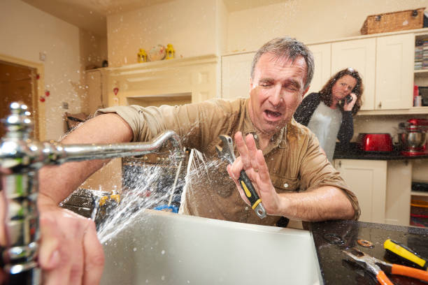 Best Water damage restoration services  in Rockwood, MI